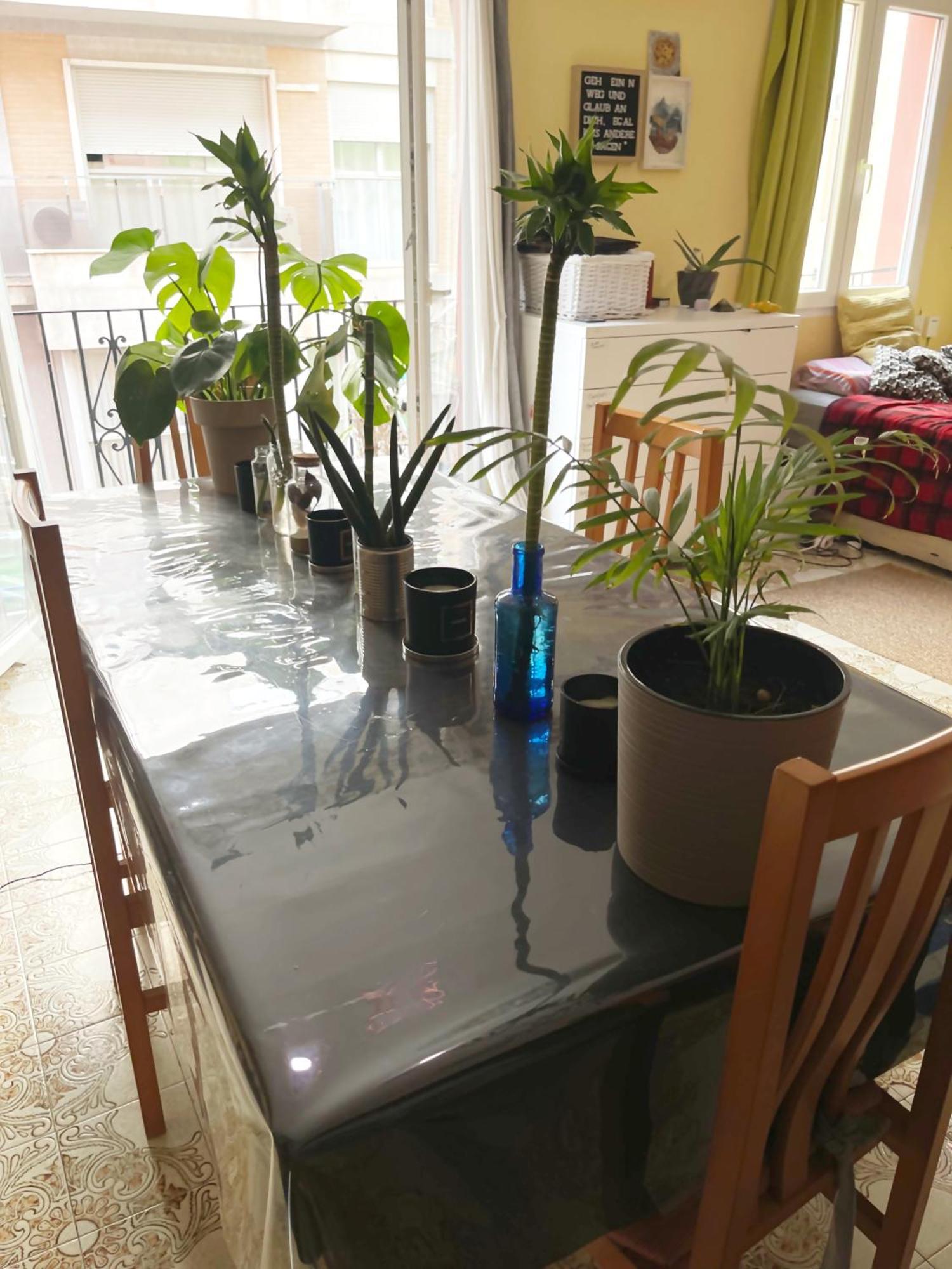 Gemuetliches Zimmer "Gold" Fuer 2 Personen Und Katzenliebhaber Valencia Exterior photo